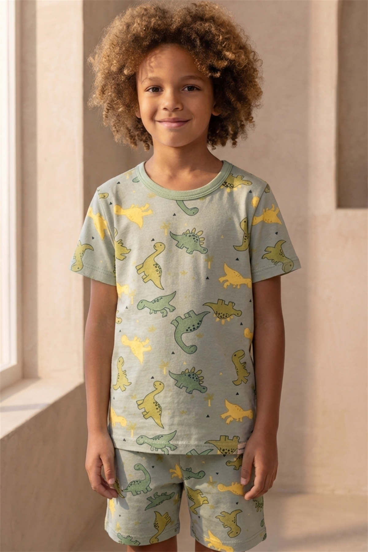 Dinosaur Patterned Packaged Green Boy Shorts Set