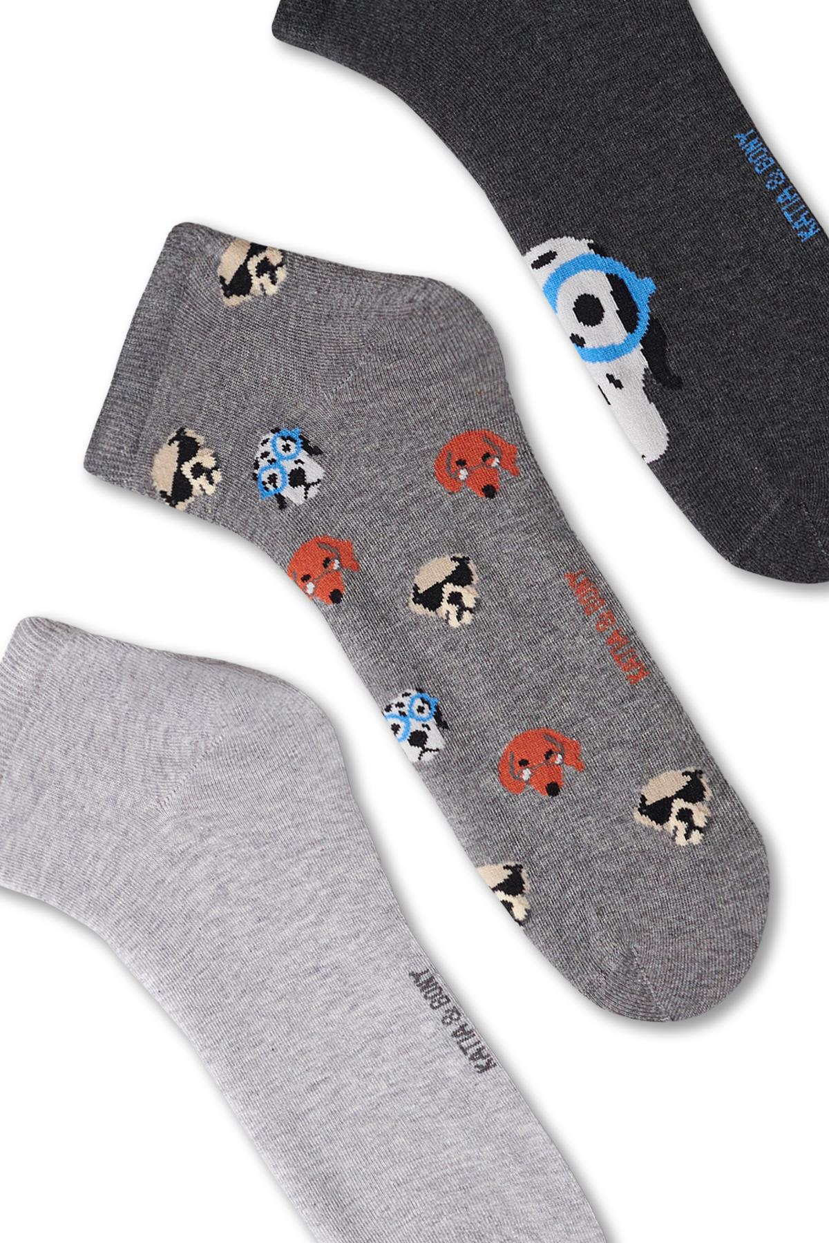 Erkek Köpek Desenli 3lü Patik Çorap