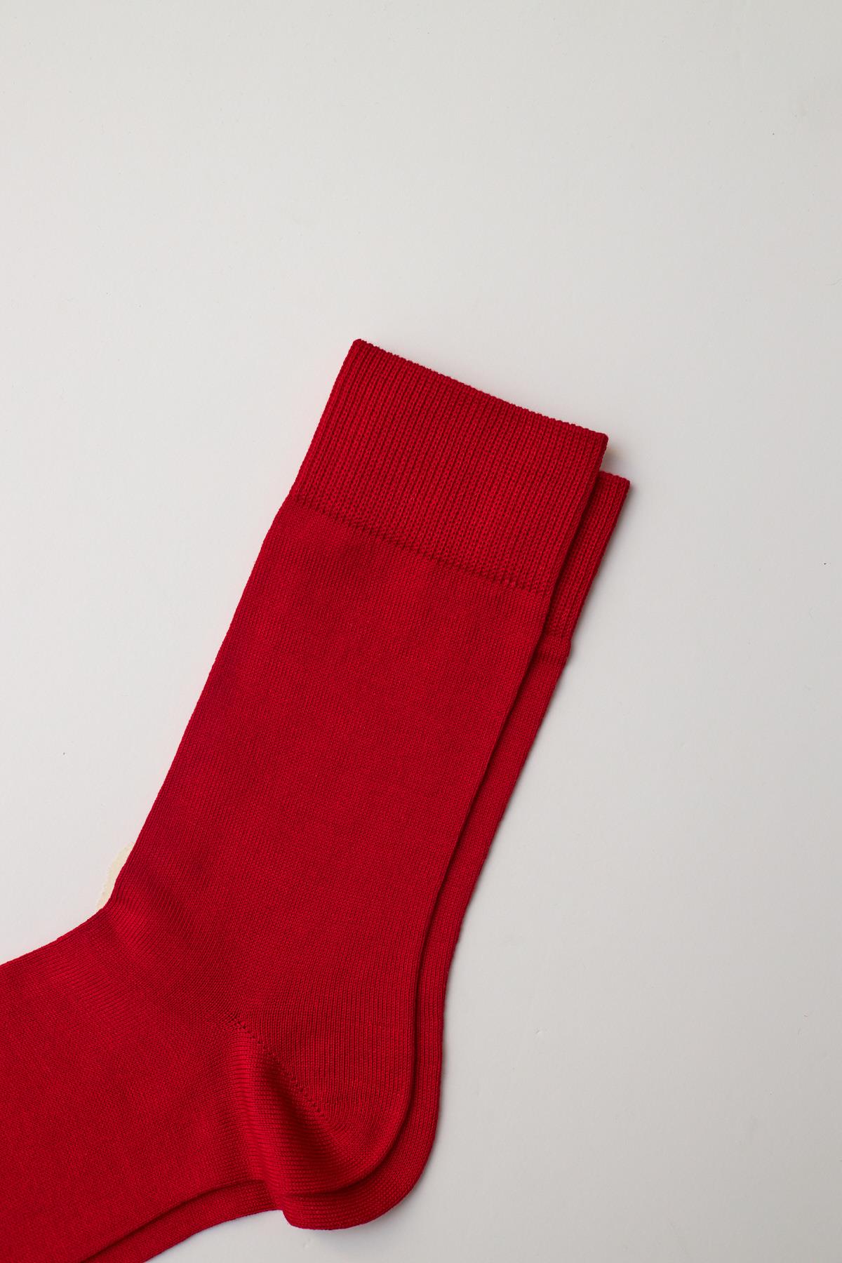Erkek Family Soket Çorap Kırmızı