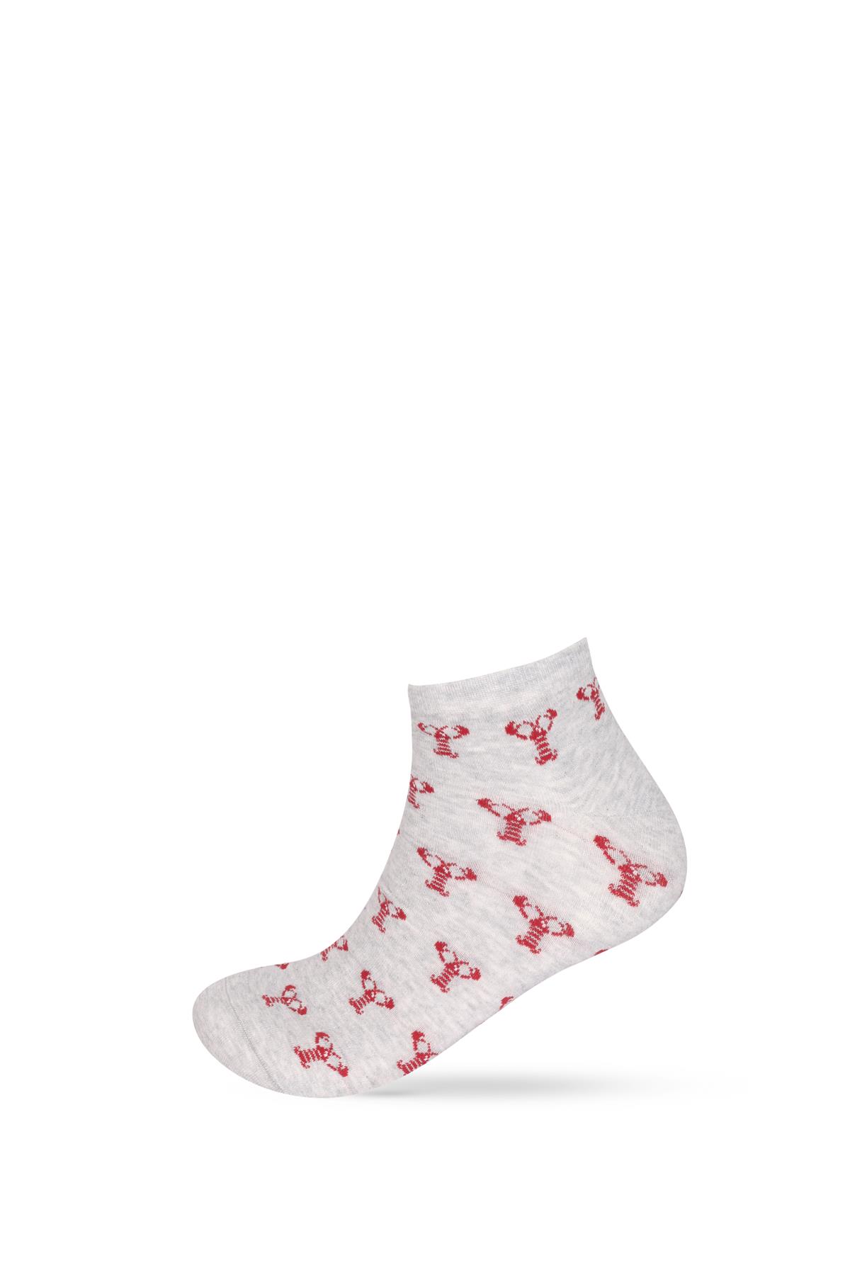 Erkek Hayvan Desenli 3lü Patik Çorap