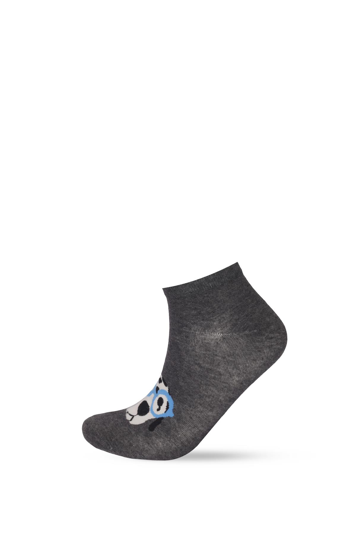 Erkek Köpek Desenli 3lü Patik Çorap