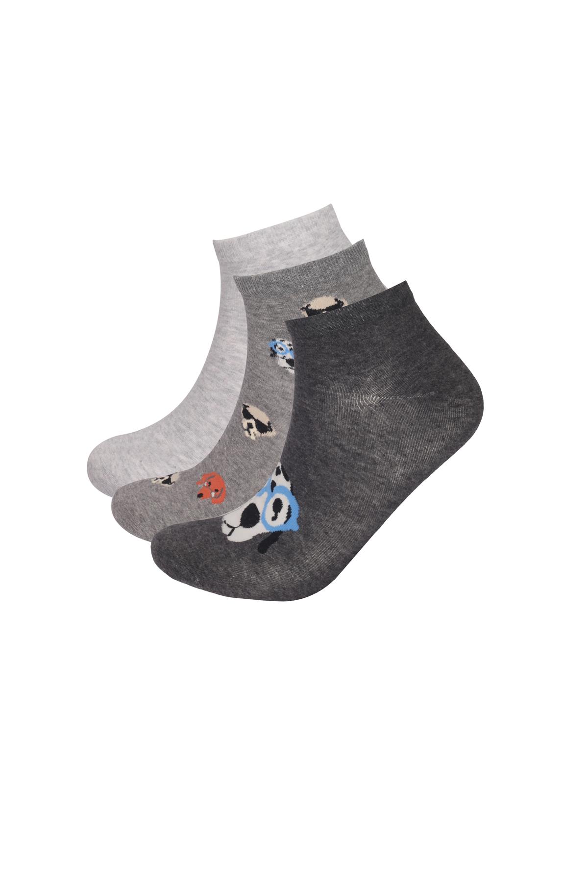 Erkek Köpek Desenli 3lü Patik Çorap