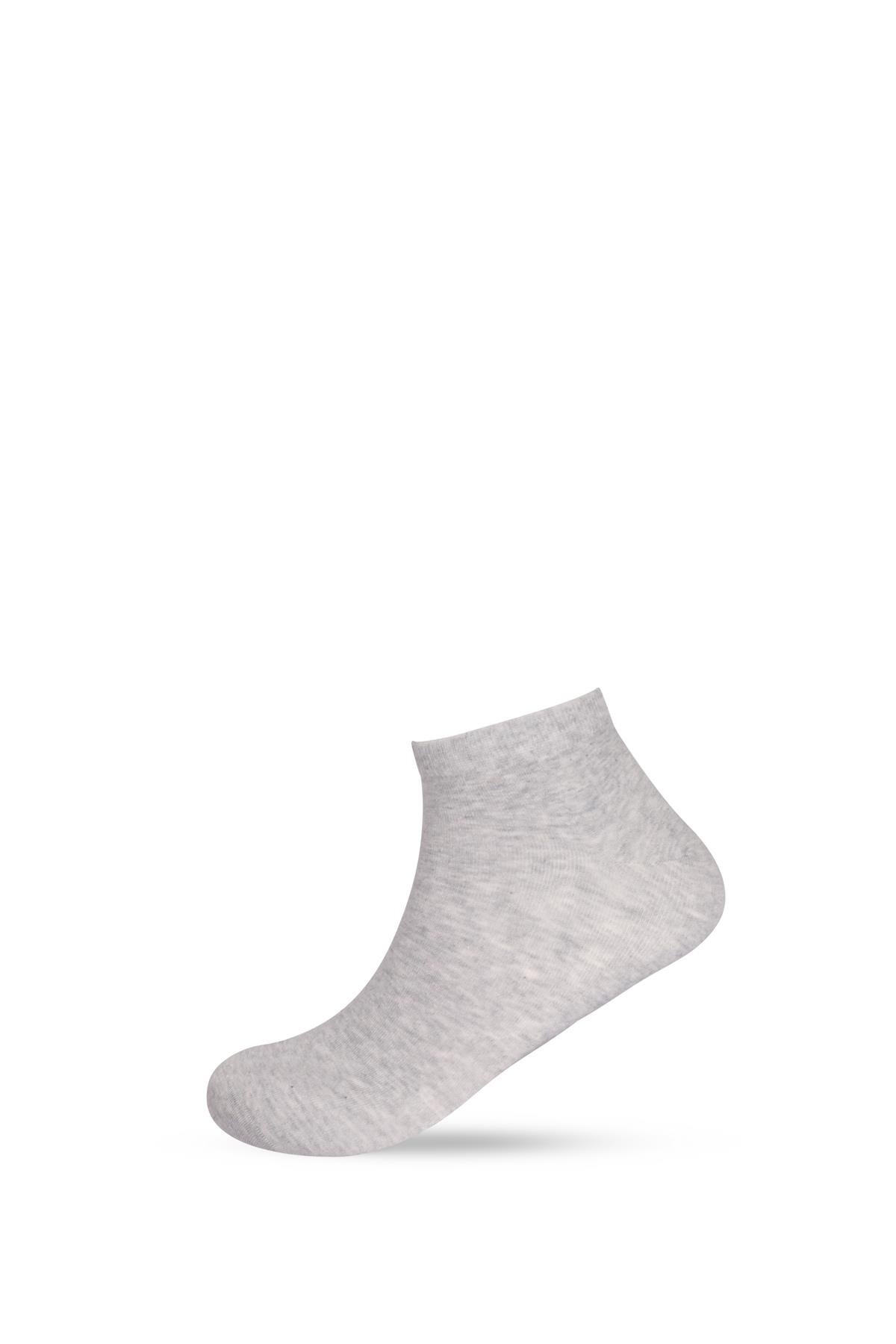 Erkek Köpek Desenli 3lü Patik Çorap