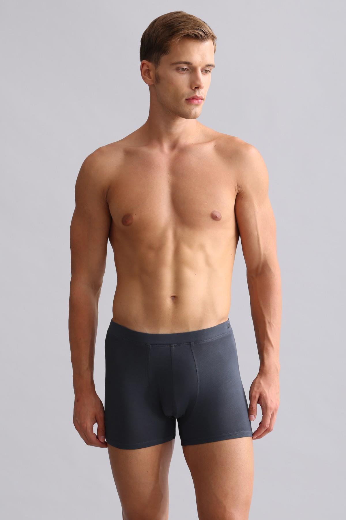 Mısırlı BAMBU ZEUS Regular Fit Boxer Antrasit