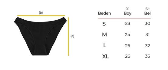 Aytuğ Kadın Pamuklu Orta Kalın Baskılı 3lü Slip Külot