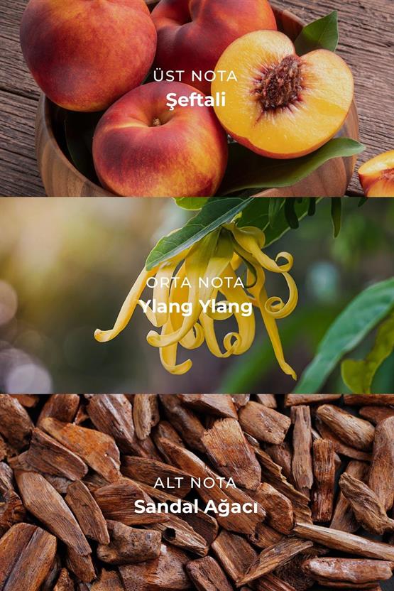 Kadın MARFA RUBY 100 ml EDP Parfümü Renksiz