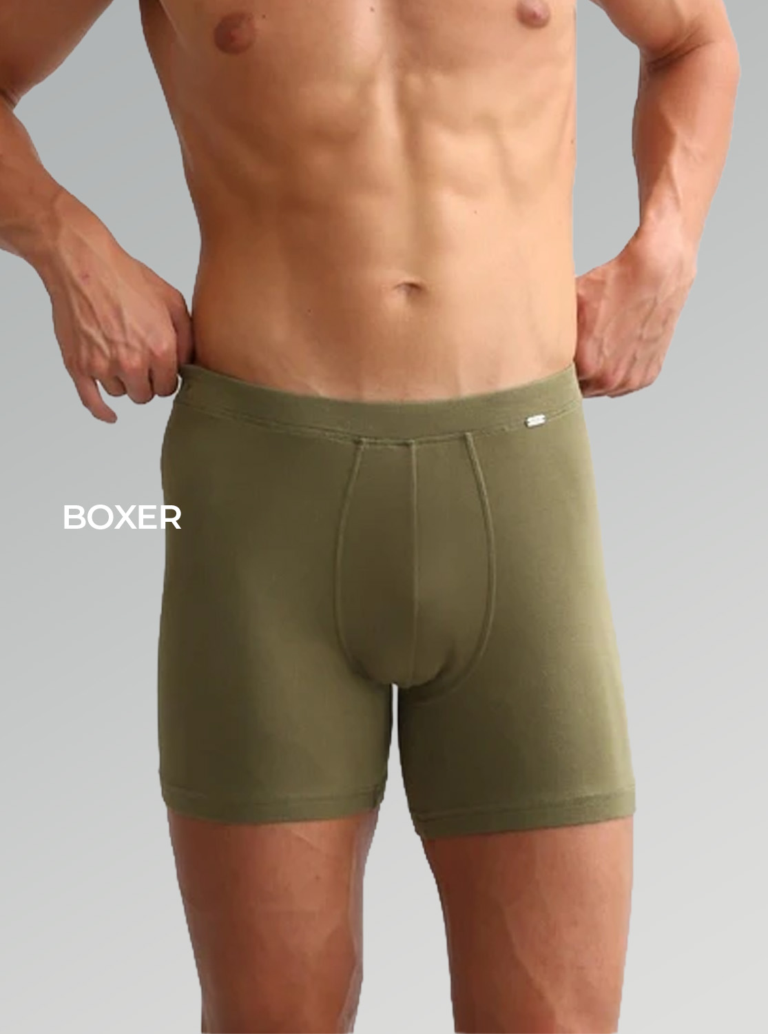 Boxer