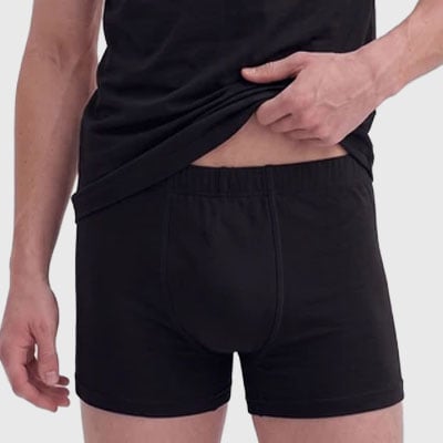 Gümüş Boxer