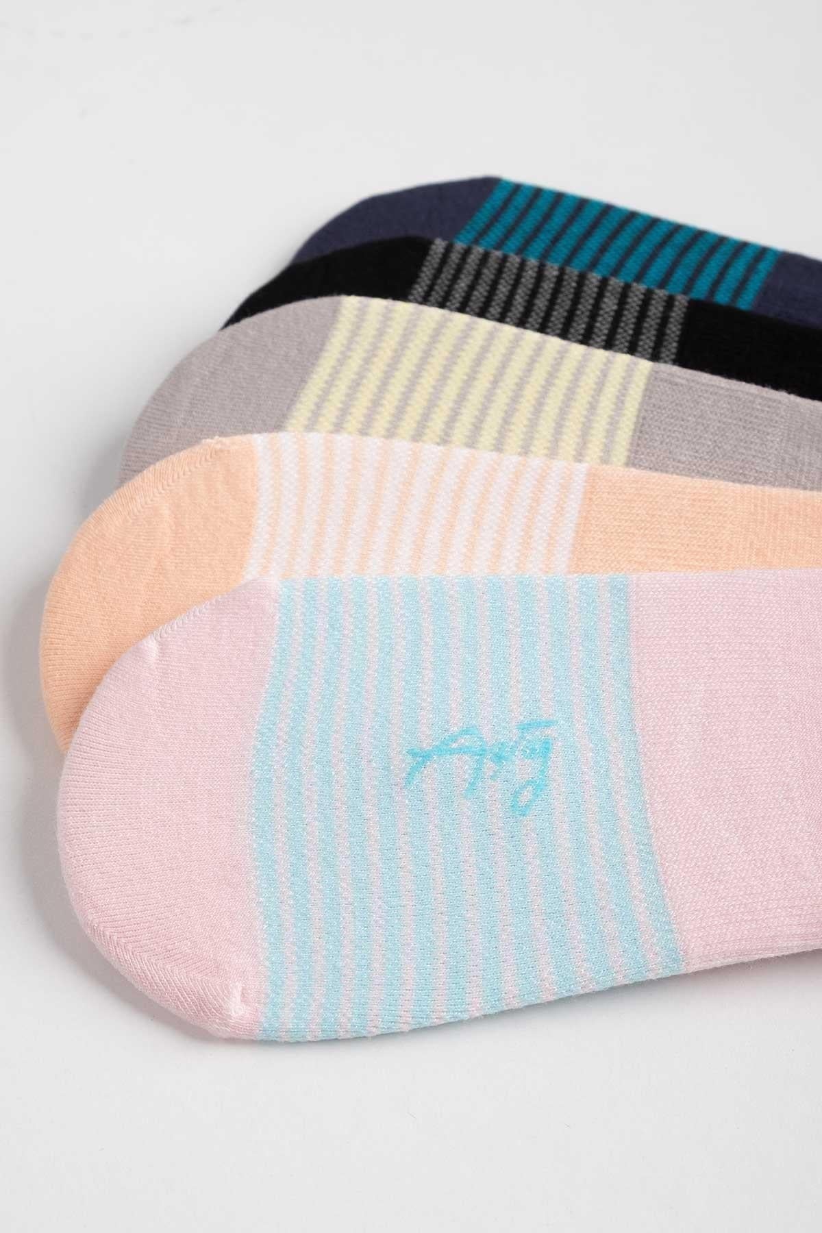 Aytuğ Kadın Modal 5 Çift Özel Kutulu Babet Çorap Çok Renkli