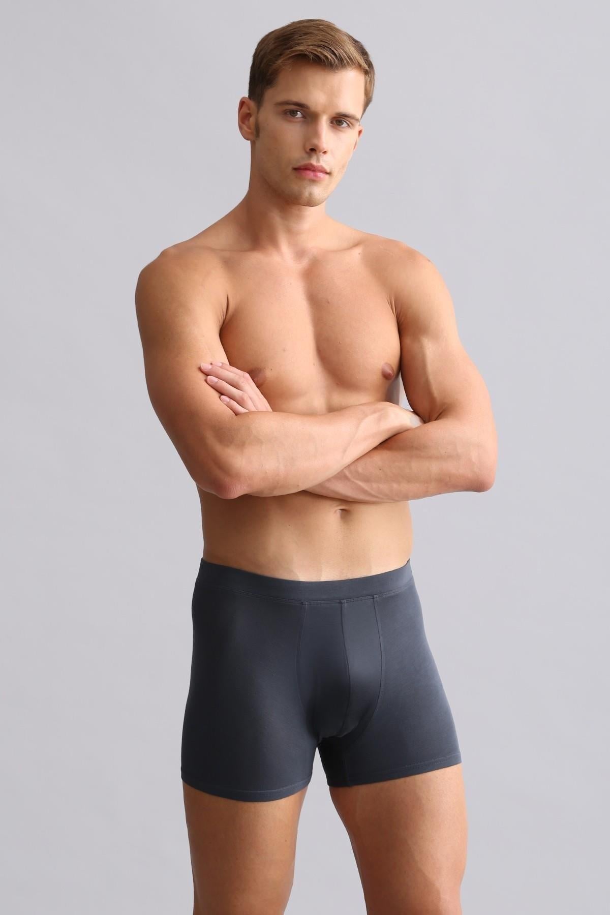 Mısırlı BAMBU ZEUS Regular Fit Boxer Antrasit