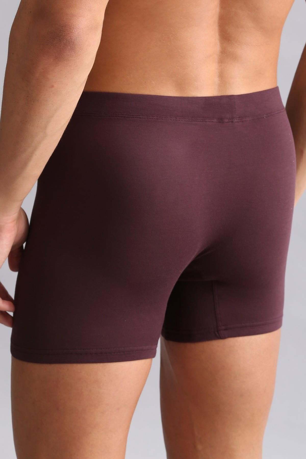 Mısırlı BAMBU ZEUS Regular Fit Long Boxer Mor