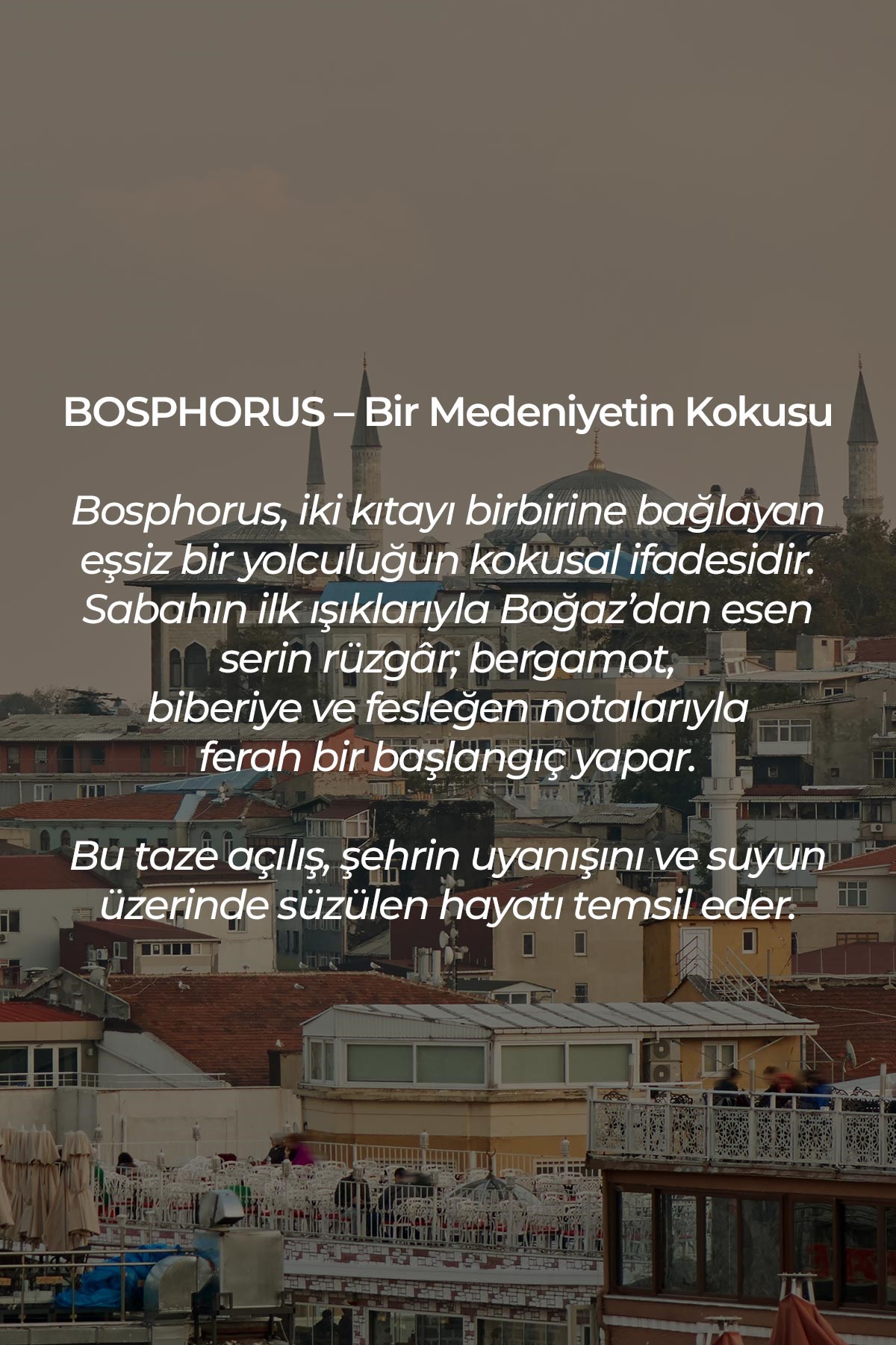 Mısırlı Bosphorus – 125 ml Çubuklu Oda Kokusu Renksiz