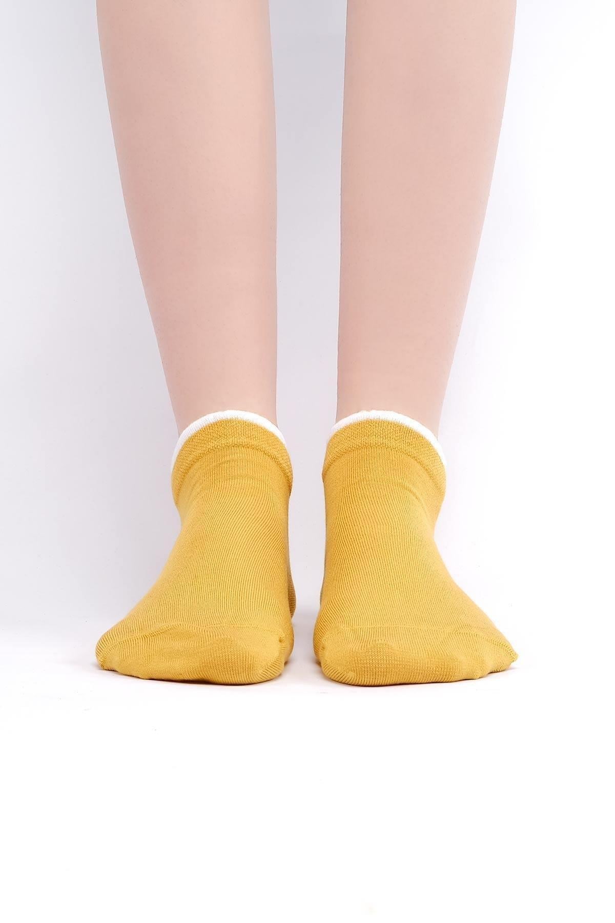 Mısırlı Kadın Modal Tekli Yazlık Sneaker Çorap Sarı