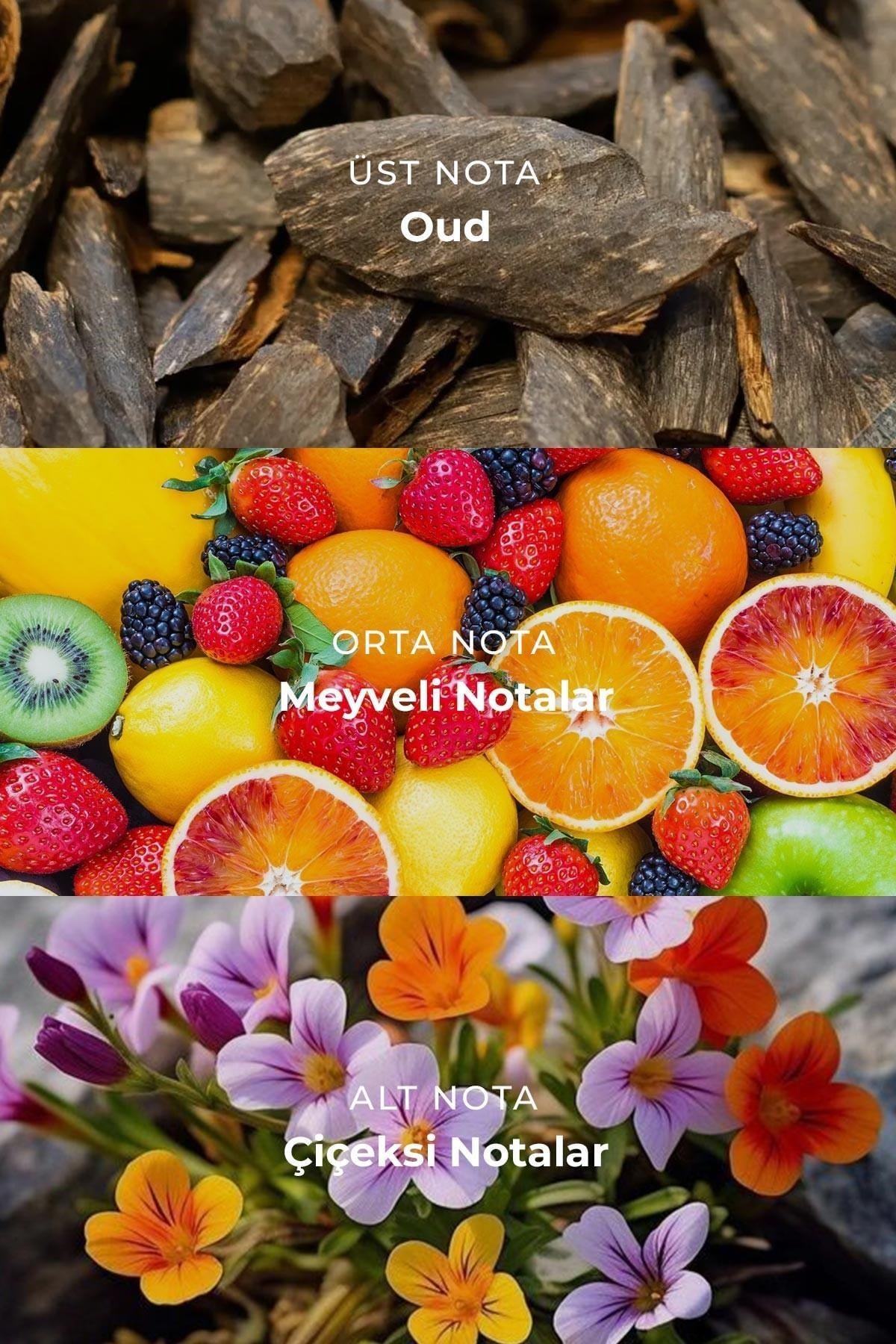 Mısırlı NAVY WORDS – 100 ml EDP Erkek Parfümü Renksiz