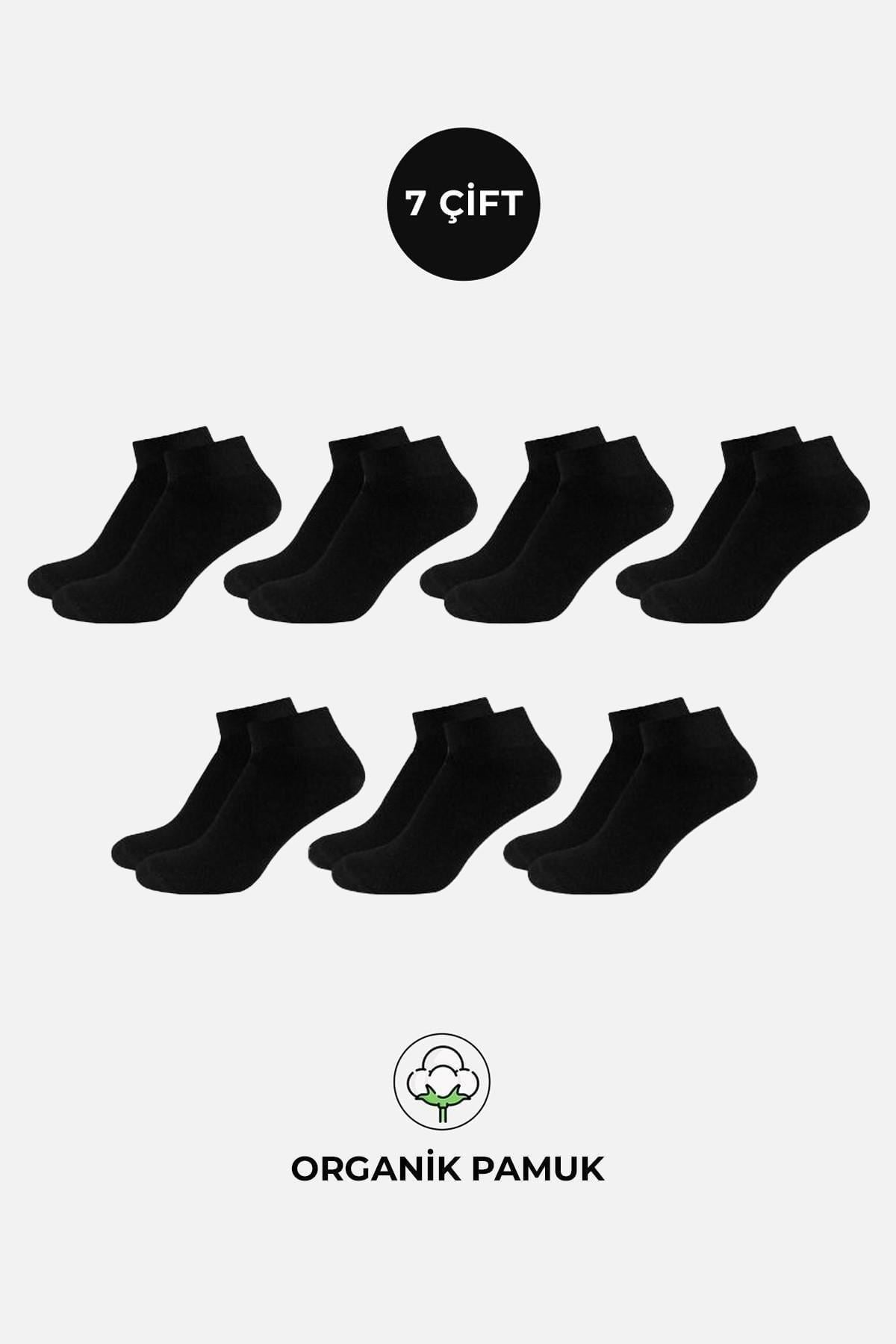ORGANİK PAMUKLU Kadın Kutulu 7 Çift Patik Çorap Siyah