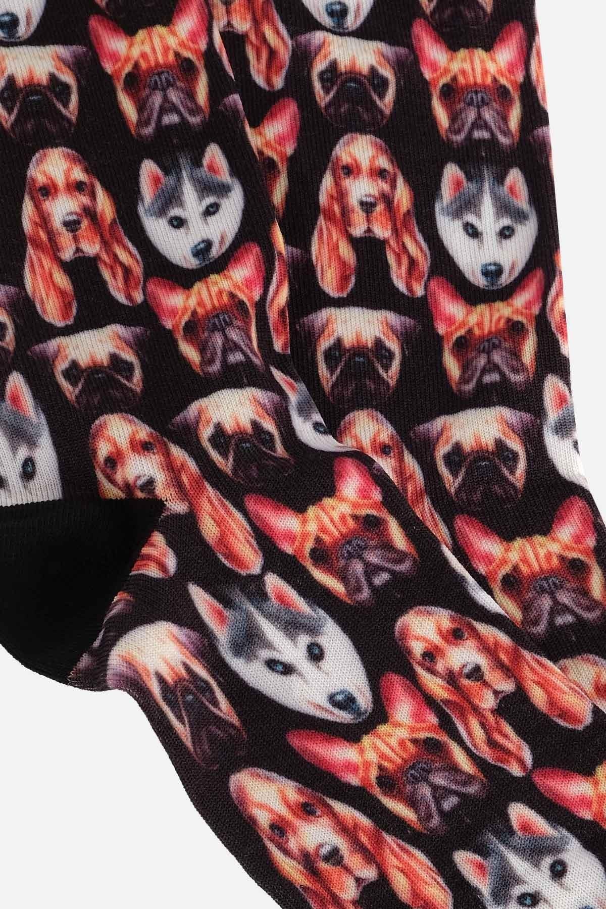 Aytuğ Unisex Pamuklu Köpek Desenli Eğlenceli Soket Çorabı Köpek Desenli