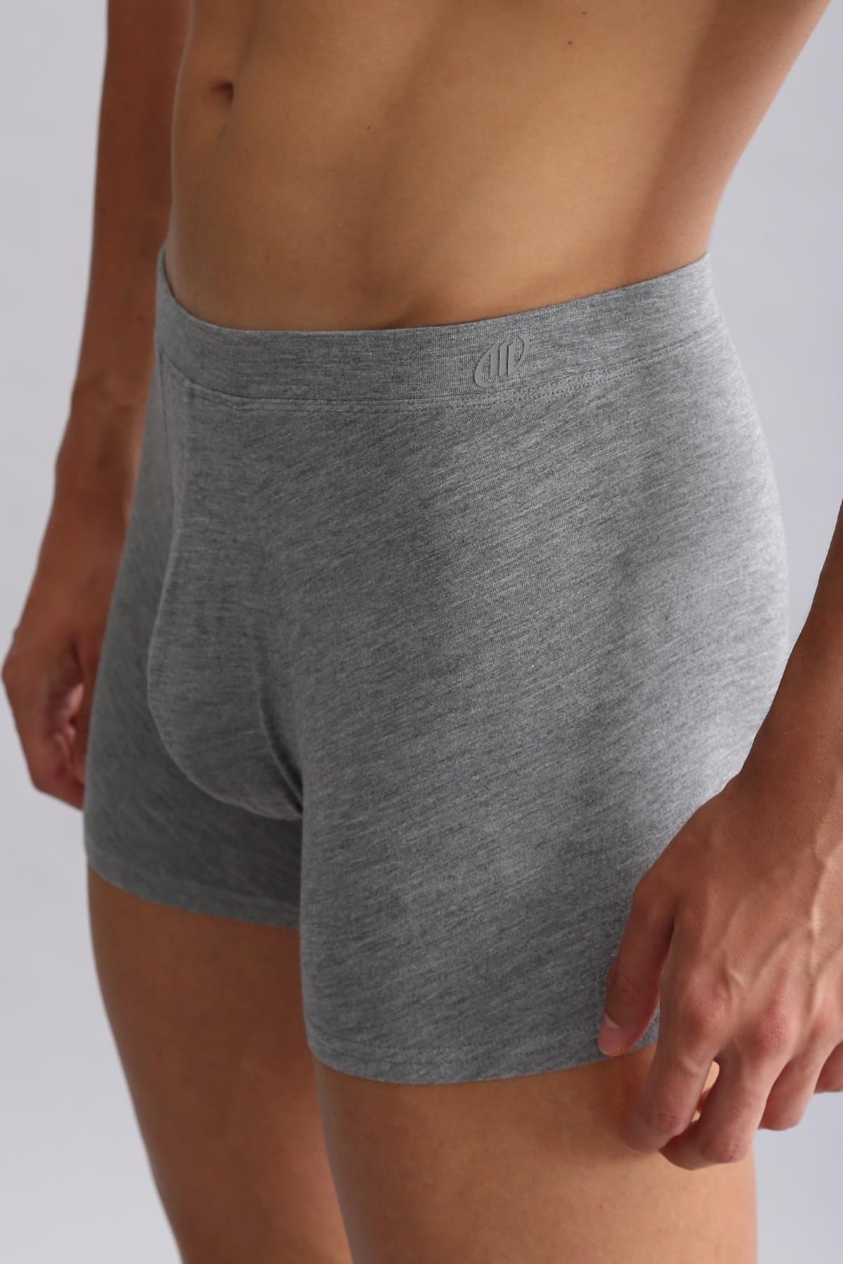 Mısırlı BAMBU ZEUS Regular Fit Boxer Gri Melanj