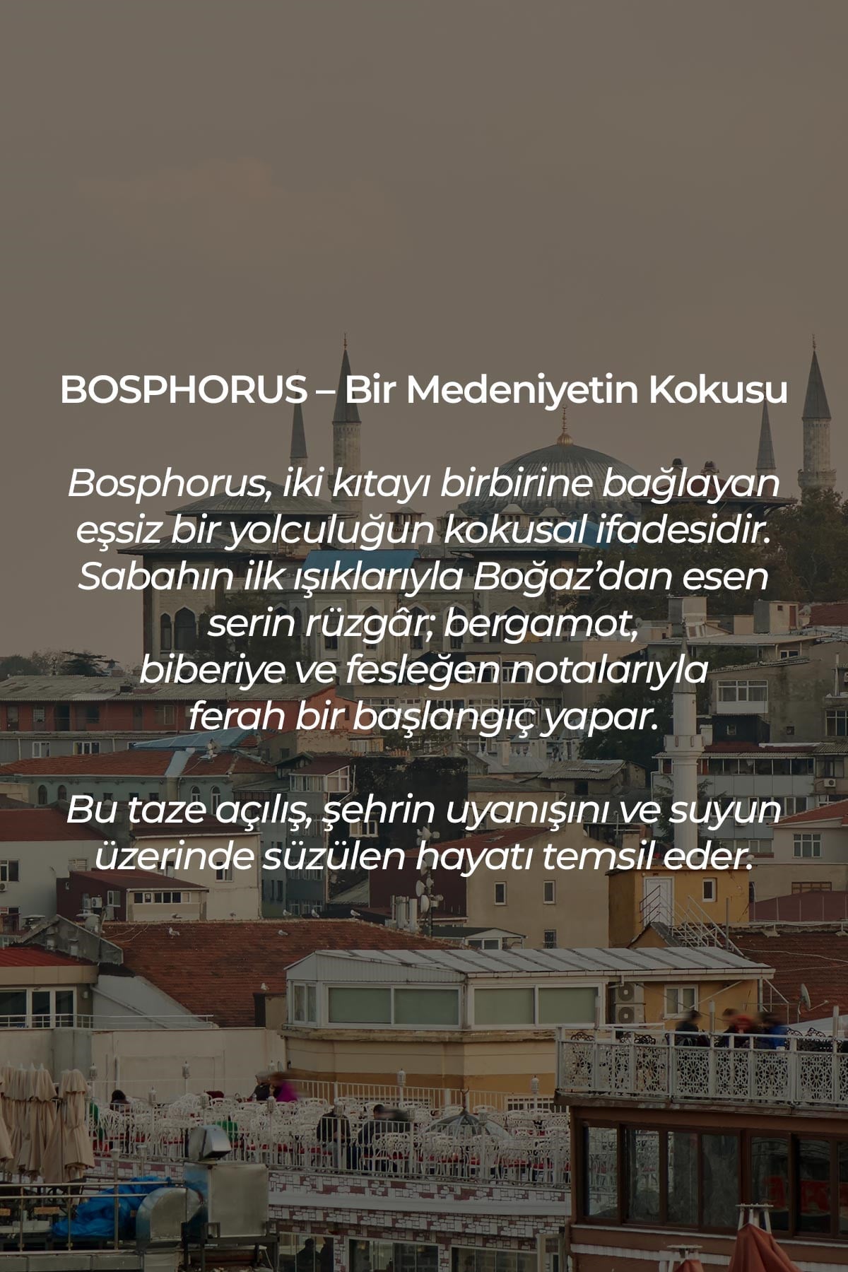 Mısırlı Bosphorus – 125 ml Çubuklu Oda Kokusu Renksiz