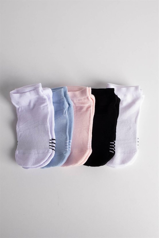 Aytuğ Kadın Pamuklu 8 Çift Özel Kutulu Havlu Patik Çorap Çok Renkli