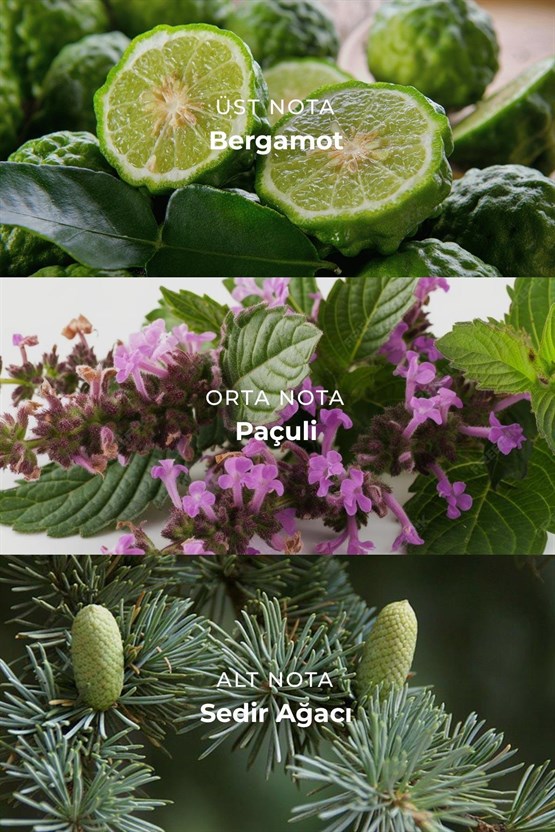 Mısırlı CREED VALOUR – 100 ml EDP Erkek Parfümü Renksiz