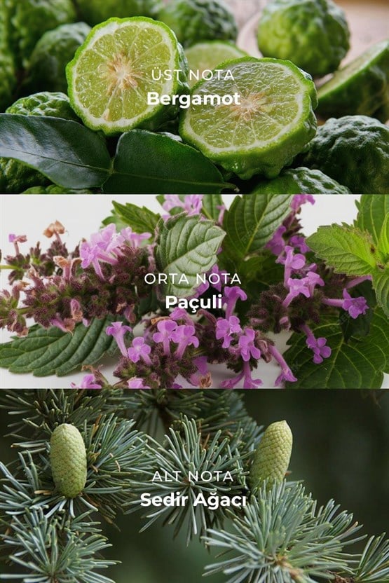 Mısırlı CREED VALOUR – 100 ml EDP Erkek Parfümü Renksiz