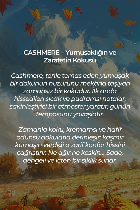 Mısırlı Cashmere – 125 ml Çubuklu Oda Kokusu Renksiz