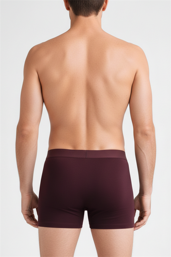 Mısırlı Modal by TENCEL SPARTACUS PERFORMANCE Boxer Bordo