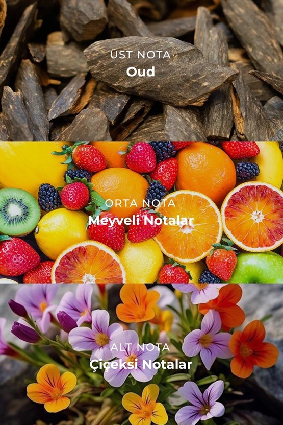 Mısırlı NAVY WORDS – 100 ml EDP Erkek Parfümü Renksiz