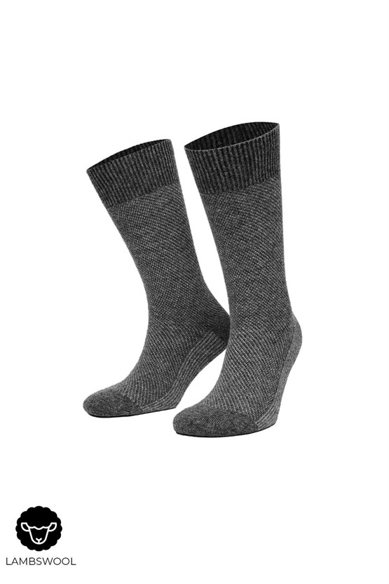 Mısırlı Erkek Kuzu Yünü (Lambswool) 6 Çift Kutulu Soket Çorap Çok Renkli