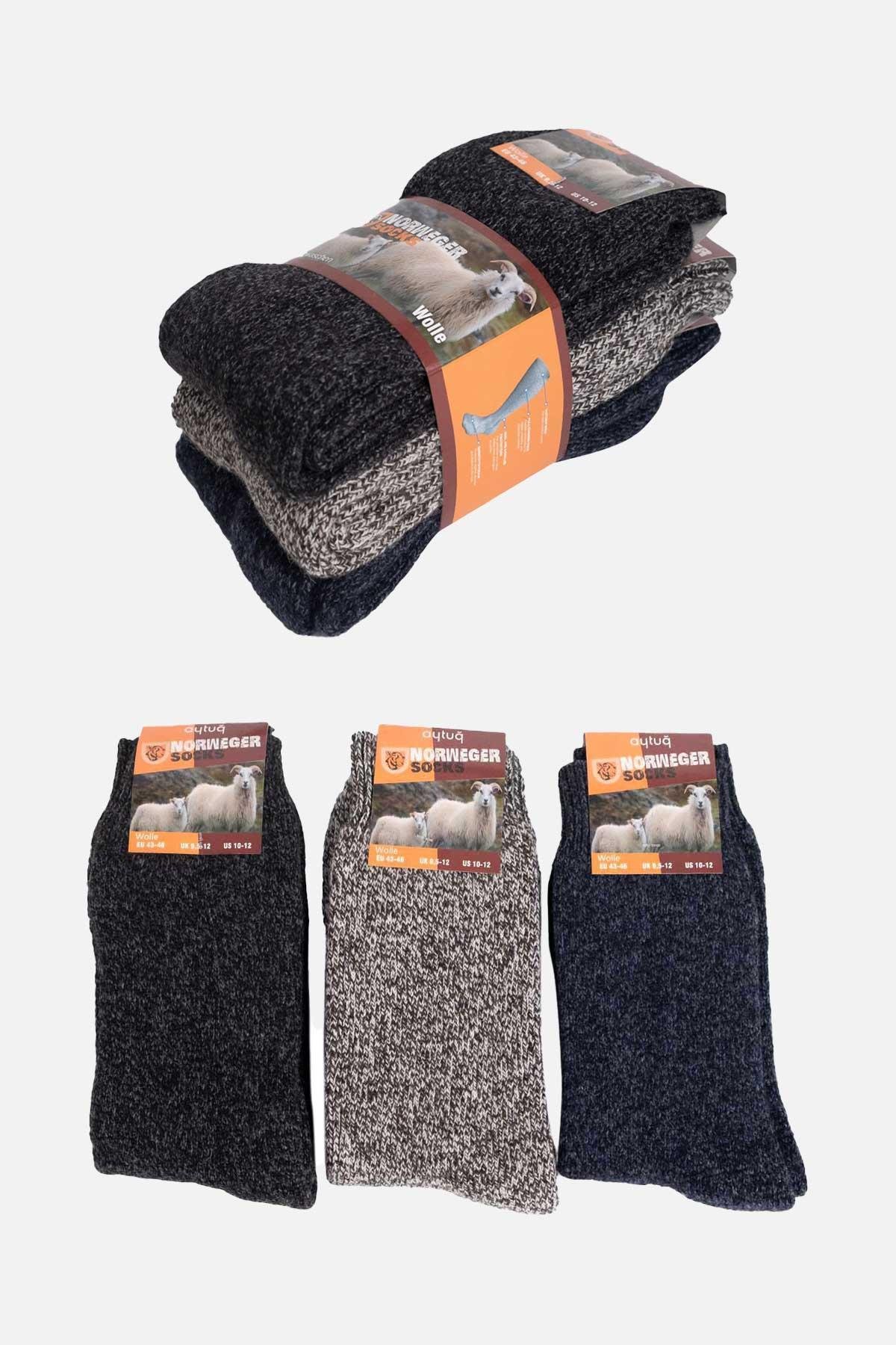 Aytuğ Men's Norwegian Towel Winter 3 Pack Home Socks - 6042