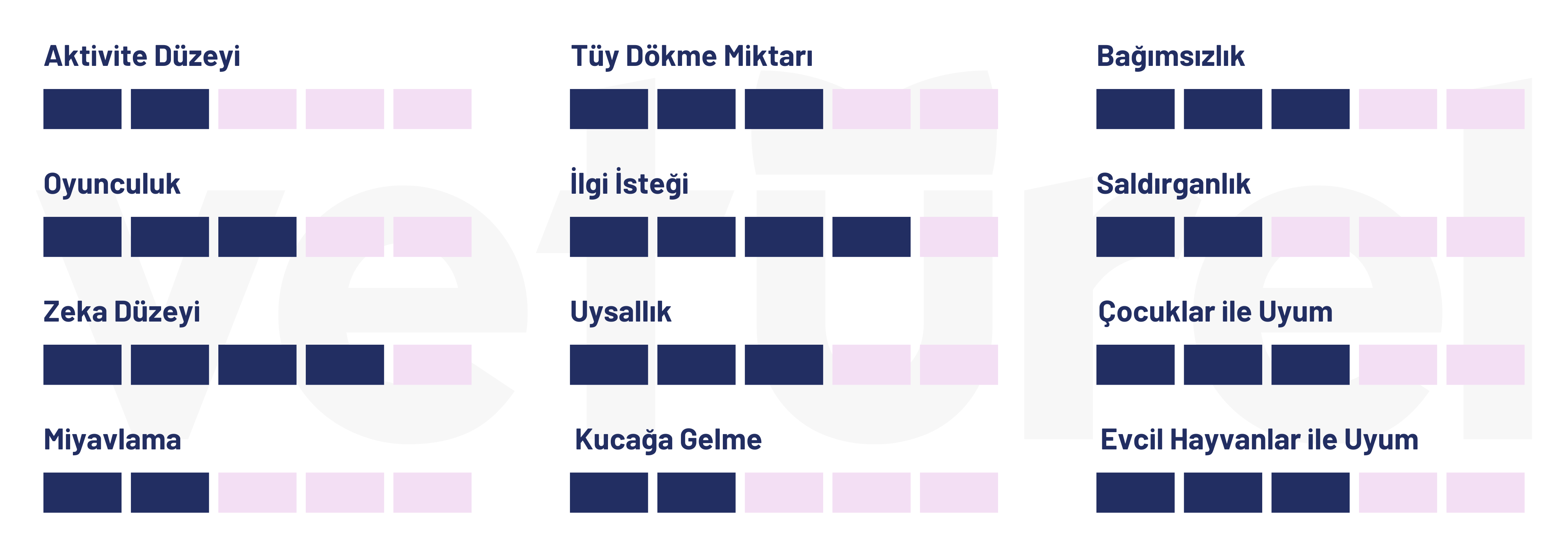 iran kedisi özellikleri tablosu 