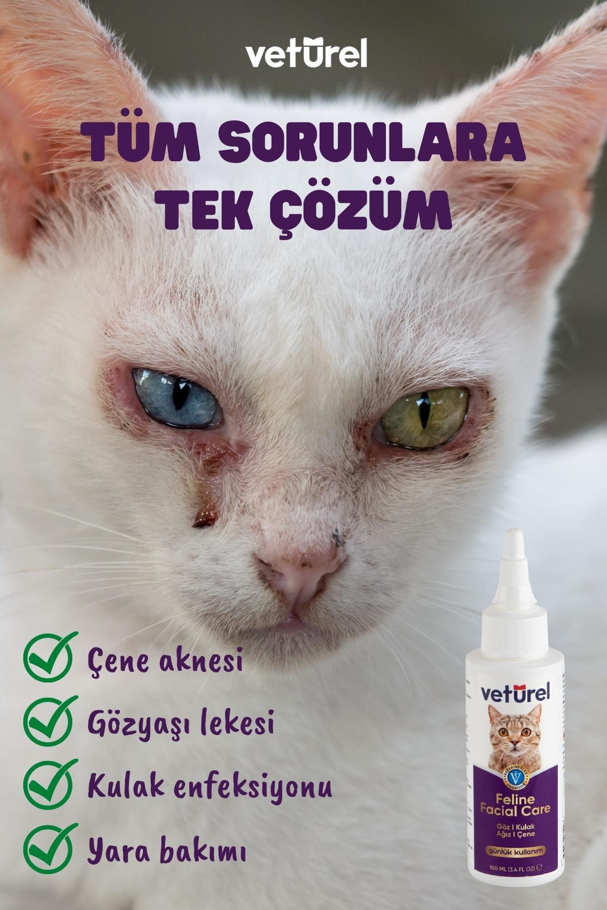 Kedi Yüz Temizleme Solüsyonu Kedi Aknesi Gözyaşı Lekesi Göz Damlası Akıntı  Kaşıntı Bakımı 100ml