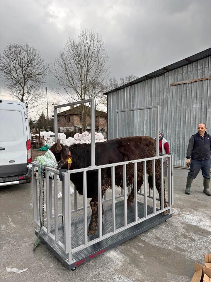 Demirtaş 2000 Kg 100x200 Cm Canlı Hayvan Baskülü