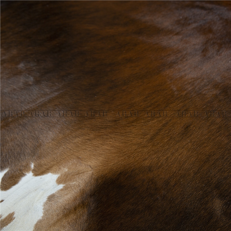 HEREFORD HR041 224X226_İTHAL GERÇEK DANA POST_5,0624.M2
