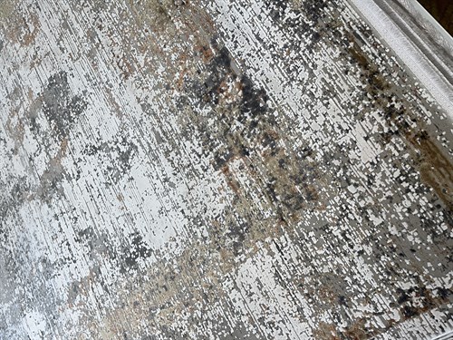 AR308R 100 TARAK BAMBU İPEĞİ 200X290 5,80