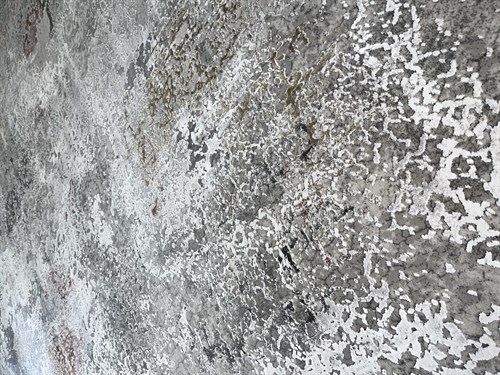 AR310R 100 TARAK BAMBU İPEĞİ 200X290 5,80