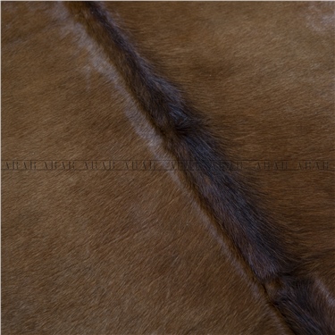 HEREFORD HR011 198X235_İTHAL GERÇEK DANA POST_4,653.M2