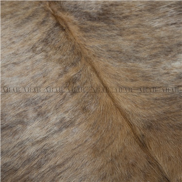 HEREFORD HR03 250X228_İTHAL GERÇEK DANA POST_5,7.M2