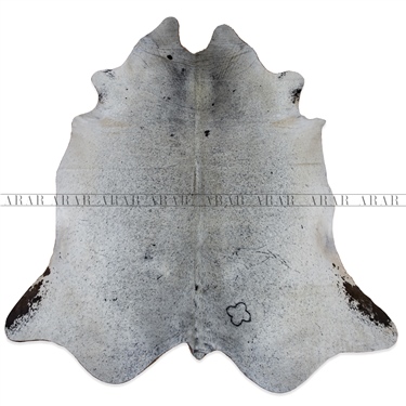 HEREFORD HR032 216X232_İTHAL GERÇEK DANA POST_5,0112.M2