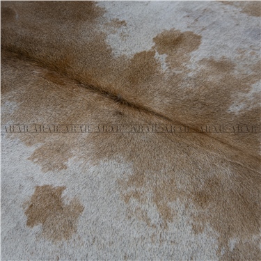 HEREFORD HR034 215X232_İTHAL GERÇEK DANA POST_4,988.M2