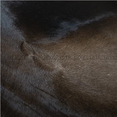 HEREFORD HR036 201X250_İTHAL GERÇEK DANA POST_5,025.M2