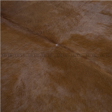 HEREFORD HR037 200X223_İTHAL GERÇEK DANA POST_4,46.M2