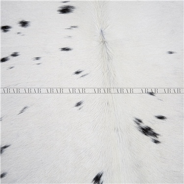 HEREFORD HR04 189X229_İTHAL GERÇEK DANA POST_4,3281.M2