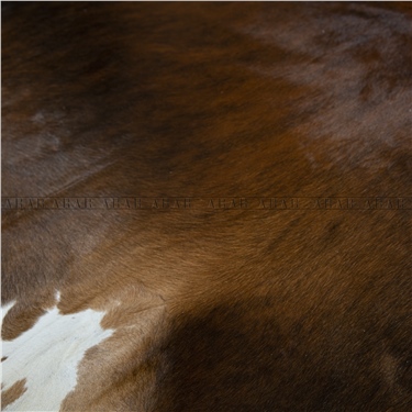 HEREFORD HR041 224X226_İTHAL GERÇEK DANA POST_5,0624.M2