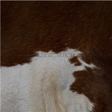 HEREFORD HR042 220X250_İTHAL GERÇEK DANA POST_5,5.M2