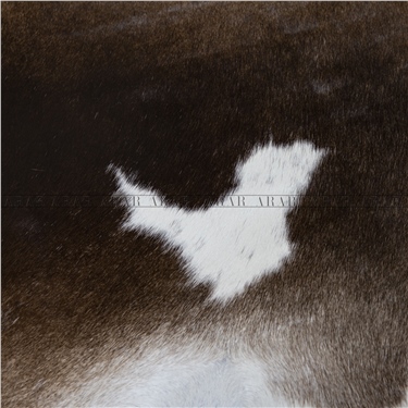 HEREFORD HR043 210X250_İTHAL GERÇEK DANA POST_5,25.M2