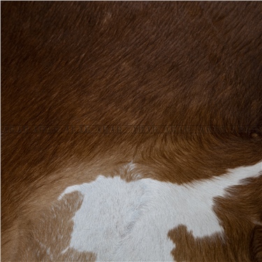 HEREFORD HR052 211X254_İTHAL GERÇEK DANA POST_5,3594.M2