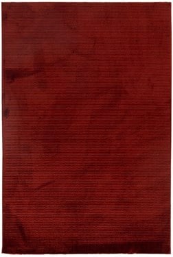 SOFT 1001 KIRMIZI MİKROFİBER TOZ VE HAV YAPMAZ MAKİNE HALISI