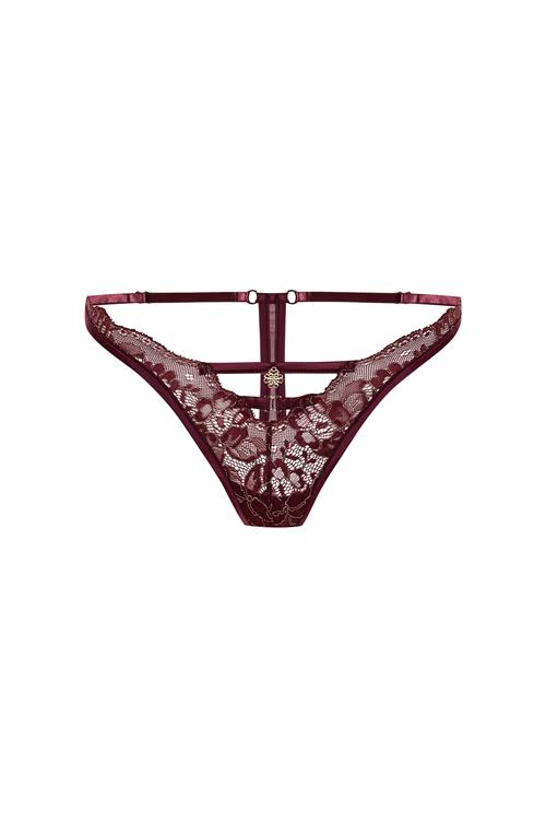 brigette Lace Bordeaux thong