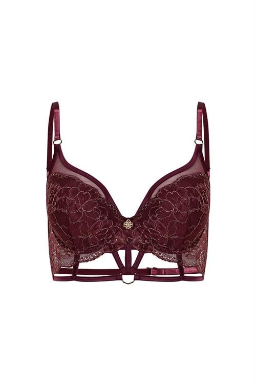 karlotta Lace Bordeaux push up bra